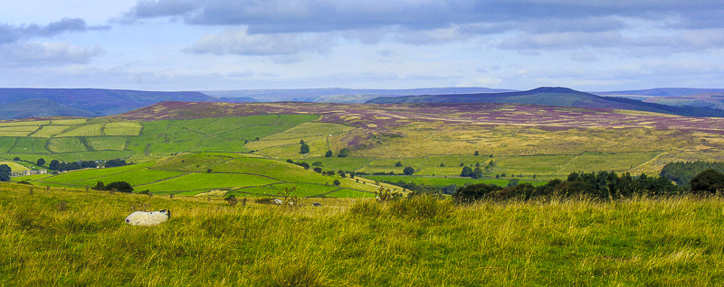 Abney Moor Abney Moor